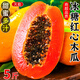 京地達(dá)海南紅心牛奶木瓜凈含量5斤單果400g新鮮水果木瓜源頭直發(fā)包郵