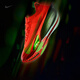 耐克（NIKE）官方ALPHAFLY 3男子透氣輕便跑步鞋秋季專(zhuān)業(yè)馬拉松FD8311 600亮深紅/黑紫/爆炸綠黃 41