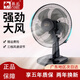 駱駝;CAMEL臺(tái)式電風(fēng)扇桌面風(fēng)扇宿舍辦公室轉(zhuǎn)頁(yè)扇學(xué)生客廳床上家用臺(tái)扇 14英寸塑葉機(jī)械款-黑