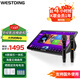 威斯?。╓ESTDING）2025新款家庭ktv點(diǎn)歌機(jī)一體機(jī)家用雙系統(tǒng)點(diǎn)唱機(jī)觸摸屏點(diǎn)歌臺智能K歌家庭影院卡拉OK 16.5英寸高清大屏-500G+麥克風(fēng)