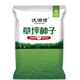 沃湖灣草坪草籽四季常青護坡綠化狗牙根馬尼拉庭院地毯草皮種子黑麥草孑 混播四季青1斤【耐寒耐旱】