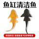 清道夫魚(yú)活體淡水清潔魚(yú)缸魚(yú) 魚(yú)缸清潔工熱帶魚(yú)觀(guān)賞魚(yú)吃垃圾 3-4cm【黑】3條