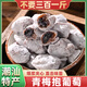 春江月青梅抱葡萄516g酸梅話(huà)梅肉梅子大雜燴陳皮葡萄梅果粒梅爆漿梅子干 青梅抱葡萄100g*1袋體驗裝