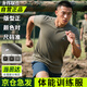 龍偉聯(lián)合夏季體能服套裝男短袖圓領(lǐng)速干T恤軍迷t恤戶外運(yùn)動(dòng)體恤上衣短褲