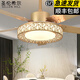 圣倫希爾（SELLEN HILL）現(xiàn)代鳥巢吊扇燈客廳餐廳電風扇吊燈大風力創(chuàng)意家用北歐一體風扇燈 金色變頻45寸72W變光-遙控款