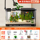 寵小島魚缸一體缸自循環(huán)生態(tài)魚缸懶人魚缸家用客廳辦公室金魚缸過(guò)濾魚缸 京倉(cāng)直配 · 中號(hào)黑色【奢華款】 帶水培吊籃