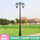 億特蘇歐式庭院燈道路燈戶(hù)外防水LED公園家用3米雙頭高桿燈草地小區路燈 2.25米2頭-黑色
