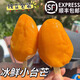 冰鮮小臺芒冰鮮水果無(wú)添加冰淇淋冷凍芒果雪糕零食孕婦兒童可食 3支*55g冰鮮小臺芒【順豐】