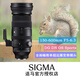 適馬（SIGMA）150-600mm F5-6.3 DG DN OS Sports全畫(huà)幅無(wú)反超遠攝變焦鏡頭 索尼E口