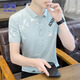 羅蒙（ROMON）短袖t恤男士夏季翻領短袖男polo衫男修身印花休閑上衣 淺藍色 XL