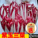 紫玉蘭菜 新鮮沙拉食材新鮮菜紅玉蘭芽球菊苣蔬菜沙拉西餐食材 1斤裝 順豐（保鮮發(fā)貨）