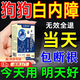 狗狗白內(nèi)障專用滴眼液寵物眼藥水眼睛白膜犬用泰迪必尼舒老年狗 草本眼藥水 老狗貓咪目永清