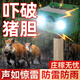 森馳驅(qū)趕野獸嚇豬神器太陽能莊稼地狗叫聲報警器戶外爆閃防動物感應(yīng)燈 雙燈爆閃爆響驅(qū)獸燈