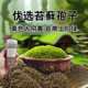 匯種草農(nóng)苔蘚孢子粉四季鮮活青苔綠植短絨吸水石種子微景觀盆景造假山草籽 瓶裝混合苔蘚孢子粉精品約80毫升 精選【11克】包發(fā)芽