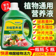 坤寧王植物通用營(yíng)養(yǎng)液花肥料家用濃縮盆栽發(fā)財(cái)樹(shù)富貴竹綠蘿多肉水培花卉 【店長(zhǎng)推薦】通用型2550ml*1瓶