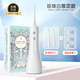 蒂歐尼電動(dòng)沖牙器便攜式牙齒正畸專(zhuān)用水牙線(xiàn)清潔洗牙器牙結石洗牙神器 限定款 300ml水箱【標準版】 2支噴頭