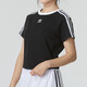 三葉草（Adidas）三葉草系列 女子 3S CALI TEE SS 短袖 JC8703 L碼