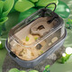 米聆烏龜缸家用養(yǎng)龜專用缸烏龜飼養(yǎng)箱帶曬臺小烏龜缸魚缸亞克力龜箱 簡約灰-裸缸（不帶燈和過濾器）