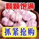 【十足干】金鄉紫白皮大蒜頭干蒜批發(fā)紅皮大蒜子優(yōu)質(zhì)多瓣大蒜便宜 2-3顆【中果】整箱 0.1斤