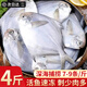朵芙大銀鯧魚(yú) 新鮮冷凍鯧魚(yú)平魚(yú)深海捕撈生鮮魚(yú)類(lèi)燒烤食材批發(fā)商用 銀鯧魚(yú)4斤（7-9條/斤）凈重