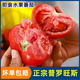 云沙紅陜西涇陽(yáng)新鮮普羅旺斯水果西紅柿沙瓤自然熟正宗生吃番茄冰沙紅 3斤