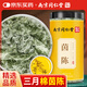 南同九坊南京同仁堂 茵陳三月嫩芽綿中泡酒藥泡水材新鮮茵陳蒿艾草葉100g