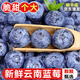探味君 云南藍(lán)莓 新鮮水果高山怡顆甜藍(lán)莓果孕婦大果整箱 生鮮 【實(shí)惠】4盒裝 中果16-18mm
