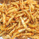 油炸白條魚新鮮河魚紅燒咸香炸魚成品半成品袋裝油炸小魚即食商用 限時搶購中/油炸白條魚 兩斤
