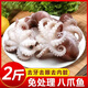 目無全牛三去鮮凍小章魚去牙去眼去臟八爪魚冷凍海鮮水產(chǎn)燒烤火鍋 八爪魚 2斤(凈重)