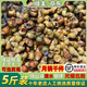 云映漁舟微山湖鮮活清水田螺新鮮螺螄無(wú)泥無(wú)沙活體的大石螺可剪尾螺絲順豐 5斤剪尾田螺（凈重包鮮到家） 2500g