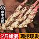 辰實【現(xiàn)貨發(fā)順豐】四川嫩姜 嫩姜牙 仔姜新鮮生姜 醋泡姜現(xiàn)挖現(xiàn)發(fā) 2斤 四川嫩姜