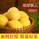 新鮮黃檸檬四川安岳水果商用皮薄多汁咸包裝香水小金桔青綠無(wú)籽 1斤小果【嘗鮮試吃裝】 正宗