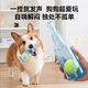 慧寵兒狗狗玩具解悶神器小狗泰迪比熊柯基金毛發(fā)聲耐咬自嗨幼犬必備玩具 有球款藍(lán)色