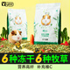 YEE凍干荷蘭豬飼料糧食豚鼠專用兔子主糧天竺鼠零食寵物用品1200g