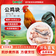 BOZAIJIA大別山散養(yǎng)青腳公雞切塊 凈重3.2斤 走地雞土雞塊雞肉 源頭直發(fā)