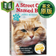 一只名叫鮑勃的流浪貓 英文原版 A Street Cat Named Bob 電影原著(zhù)小說(shuō)