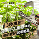 麥思德（MASTERPROOF）新款農(nóng)用綁枝機(jī)西紅柿黃瓜綁枝神器葡萄束縛器高效省時(shí)綁藤器
