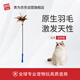 貴為（GiGwi）逗貓玩具小貓咪幼貓磨牙耐咬原生羽毛布條逗貓棒解悶解壓寵物玩具