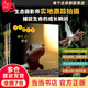 【當(dāng)當(dāng)童書】生命的故事系列全套1-5輯共48冊  （3-6歲兒童科普繪本昆蟲動物百科全書 用實(shí)拍大圖記錄生命的成長過程 海桐、果殼、無窮小亮推薦） 【全6冊】（新書）生命的故事第5輯