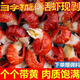 蝦尾冷凍生整箱10斤 現剝小龍蝦尾無(wú)冰特大蝦球鮮活冷凍小龍 原味 500g