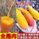 【整箱】辣椒芒海南特產(chǎn)小香芒 香甜彩虹芒果 新鮮熱帶水果禮盒5 1斤