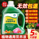 領(lǐng)沃植物通用營(yíng)養液花肥料家用濃縮盆栽發(fā)財樹(shù)富貴竹綠蘿多肉水培花卉 通用型2500ml*1瓶【年終鉅惠】