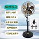 雙馬柳州雙馬落地扇大風(fēng)力銅芯電機鑄鐵機頭商務(wù)扇家用辦公室工廠適用 18寸柳州雙馬鑄鐵機頭