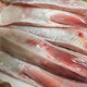 湖北新鮮魚(yú)腹魚(yú)腩肉魚(yú)油魚(yú)肚子肉新鮮魚(yú)白鰱魚(yú)下酒菜魚(yú)鰭肉包郵 1500g 新鮮魚(yú)腹【3斤】可以燒3盤(pán)