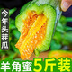 柏饞頭茬羊角蜜甜瓜山東新鮮當季孕婦水果蜜瓜整箱脆甜羊角蜜 5斤（商超品質(zhì)精選）凈重4.5斤