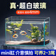 坤寧王金晶超白玻璃魚缸桌面造景小魚缸家用客廳裸缸一體缸20*14*16cm