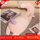 飾鹿熊冰絲乳膠抱枕長(cháng)條枕頭女生側睡夾腿專(zhuān)用臥室床上睡覺(jué)靠枕男 [乳膠涼感絲長(cháng)抱枕]獨角獸 四季款160CM[獨立內膽可拆洗]