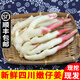 辰實(shí)（現(xiàn)挖發(fā)順豐）嫩姜 四川新鮮仔姜芽 生姜紅芽姜 醋泡姜 2斤四川嫩姜