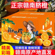 正宗贛南臍橙品質(zhì)大果果香濃郁香甜多汁農家自產(chǎn)當天現采精美彩箱 5斤裝 70-80mm