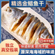 廣東湛江淡曬特大金鯧魚干3條裝 真空包裝 3條（每條500-550克）共約1500g